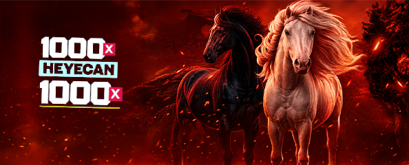 1000x Heyecan — 1000x Kazanç